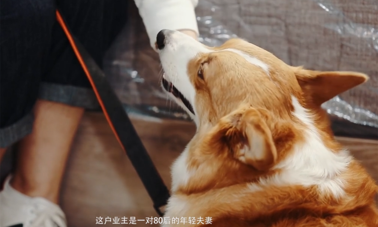 那些裝修后悔的事情大匯總 你家中槍了幾條？